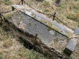 image of grave number 338445